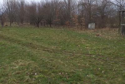 Teren de 3500 mp, în Merișor - 5