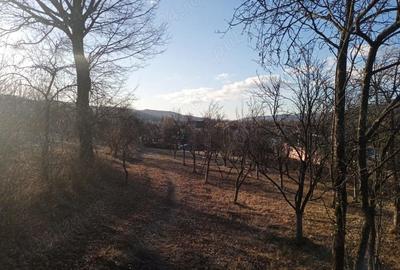 Teren de 4700 mp, în Vâlsănești - 6