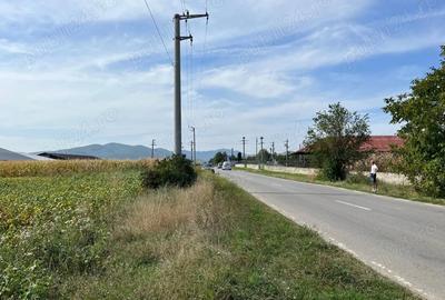 Teren de 10000 mp, în Central
