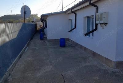 Casă cu 8 camere cu Teren 180000 Mp în Pietroiu - 5