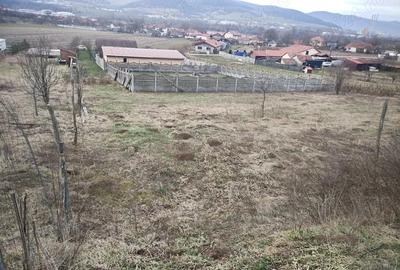 Teren de 944 mp, în Șoimuș - 3