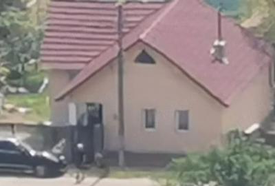 Casă cu Teren 1550 Mp în Roșia de Secaș - 8