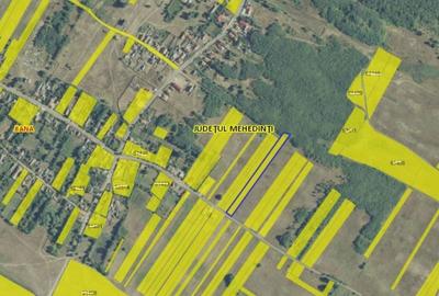 Teren de 4582 mp, în Jiana - 4