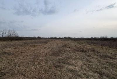 Teren de 10000 mp, în Tăuții-Măgherăuș