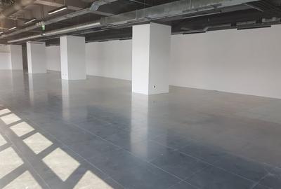 Birou, de 316 mp, în Gruia - 15