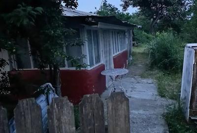 Casă cu Teren 464 Mp în Puiești - 1