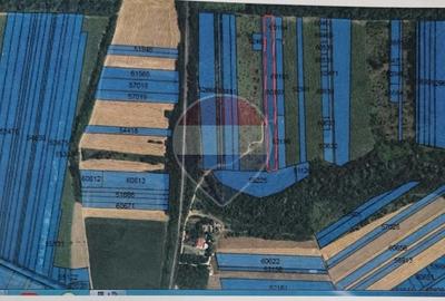 Teren Construcții intravilan de 7347 mp, în DN 1