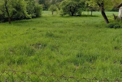 Teren de 4961 mp, în Vărădia de Mureș - 4