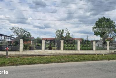 Casă cu 3 camere cu Teren 2918 Mp în Doba - 16