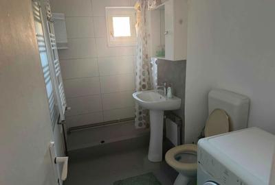 Apartament cu 2 camere semidecomandat în Dâmbovița - 8