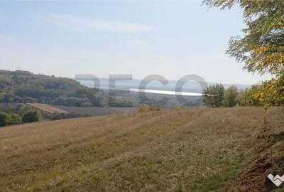Teren de 8743 mp, în Tileagd - 3
