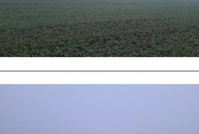 Teren de 4040 mp, în Troianul - 7