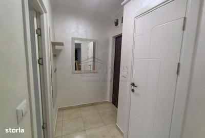 Apartament cu 2 camere semidecomandat în Roșu - 5