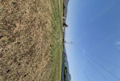 Teren de 3863 mp, în Vad - 4