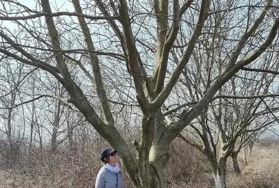 Teren de 9000 mp, în Letea Veche - 3