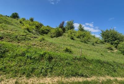 Teren agricol extravilan de 7800 mp, în Tohanu Nou - 3