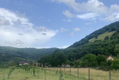 Teren de 4300 mp, în Leordina