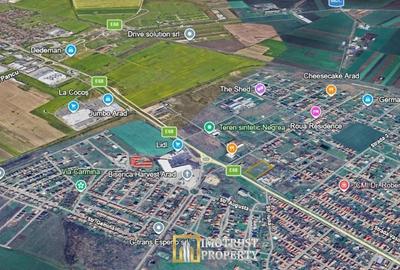 Teren de 10003 mp, în Vladimirescu