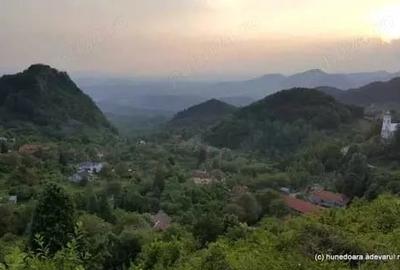 Teren de 27500 mp, în Săcărâmb - 1