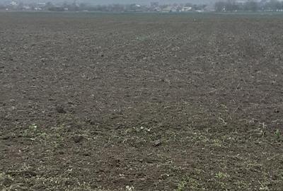 Teren de 5000 mp, în Central