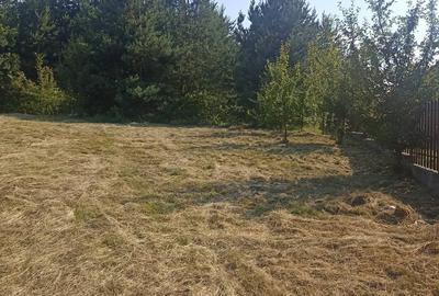 Teren Construcții intravilan de 1000 mp, în Periferie - 8