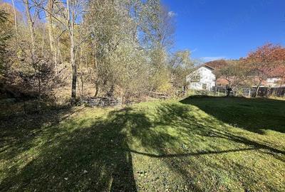 Teren de 312 mp, în Bran - 1