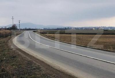 Teren de 30000 mp, în Central - 2