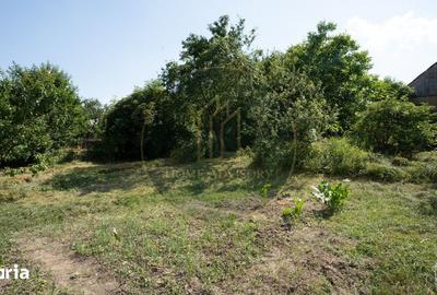 Casă cu 5 camere cu Teren 1500 Mp în Feldioara - 9