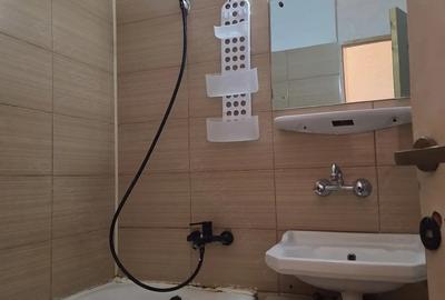 Garsonieră decomandată în Paltiniș
