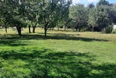 Teren de 8540 mp, în Breaza - 5