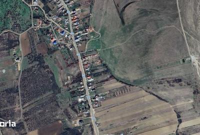 Teren de 14000 mp, în Topliceni - 3