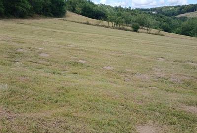 Teren de 2302 mp, în Bucea - 2