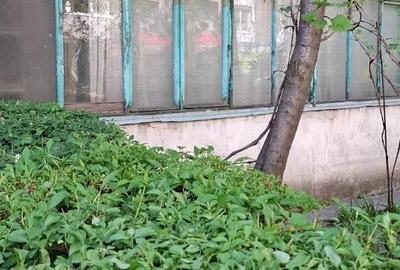 Apartament cu 2 camere semidecomandat în Plantelor