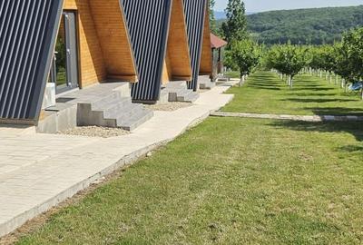 Casă cu 8 camere cu Teren 6600 Mp în Sânmartin