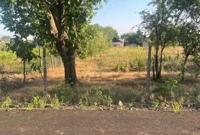 Teren de 1500 mp, în Petrești
