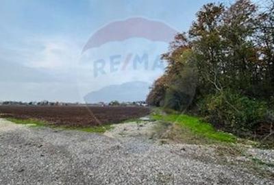 Teren Construcții intravilan de 1100 mp, în Vlădiceasca - 3