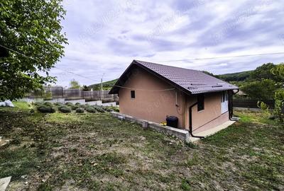 Casă cu 2 camere cu Teren 2647 Mp în Valea Mare - 9