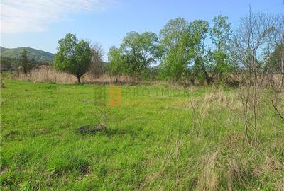 Teren agricol intravilan de 5485 mp, în Viperești - 2