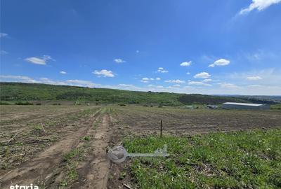 Teren de 665 mp, în Valea Lupului