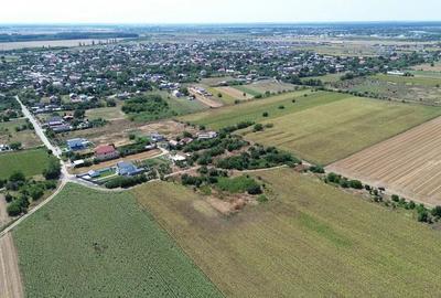 Teren de 29000 mp, în Dârza