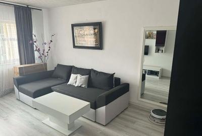 Apartament cu 2 camere decomandat în Valea Muscelului - 5