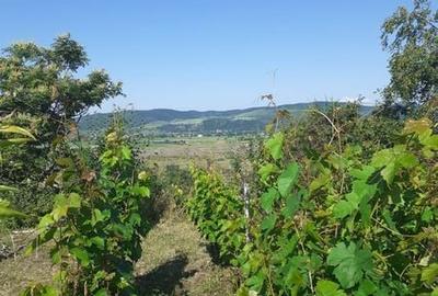 Casă cu 4 camere cu Teren 950 Mp în Berca - 2