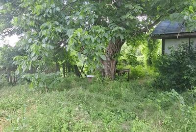 Teren de 5500 mp, în Vernești - 4