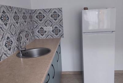 Apartament cu 2 camere decomandat, mobilat în Snagov - 6