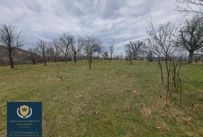 Teren Construcții extravilan de 25428 mp, în Calea Caransebeșului - 2
