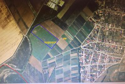 Teren Construcții intravilan de 49400 mp, în Șag - 1