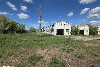 Spațiu comercial, de 3,200 mp, în Variaș - 1
