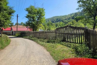 Teren de 1400 mp, în Săvârșin - 5