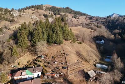 Teren de 3500 mp, în Podu Dâmboviței