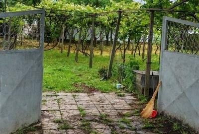 Casă cu 3 camere în Vișan